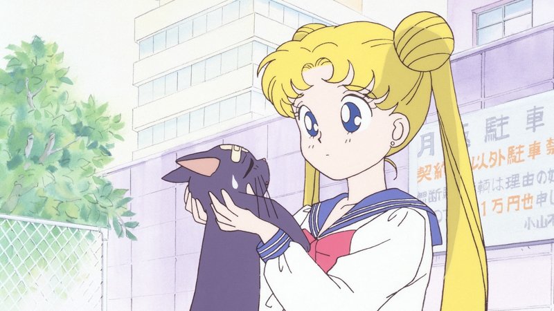 Sailor Moon 65
