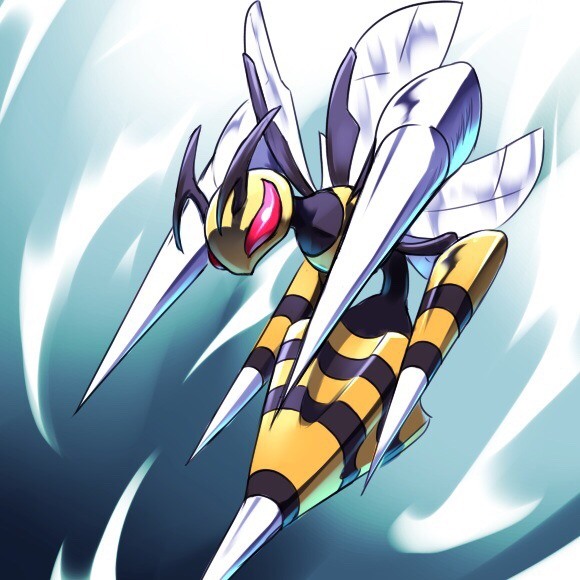 anh beedrill