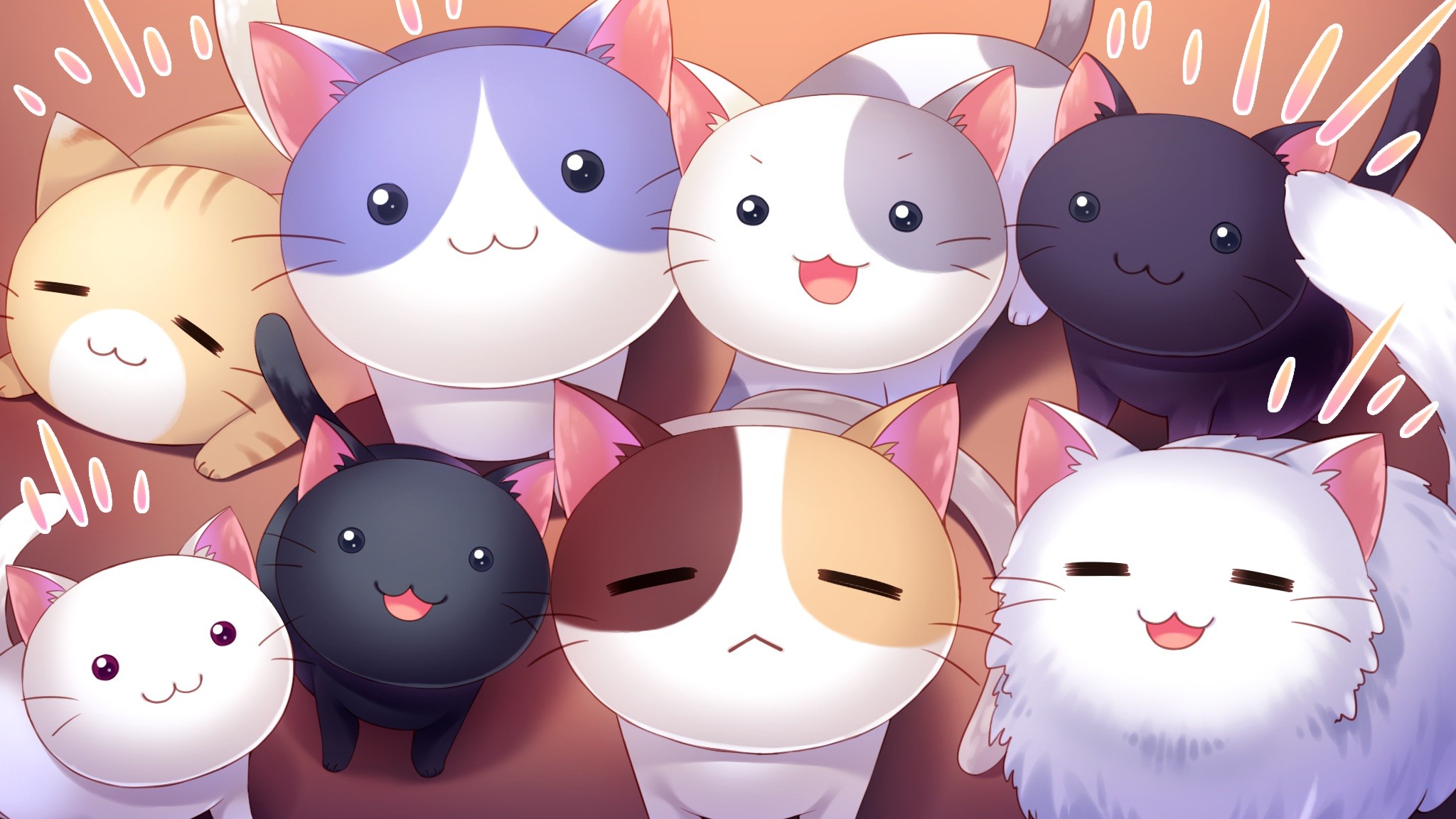 Khám phá sự dễ thương qua hình ảnh Mèo Anime được tuyển chọn