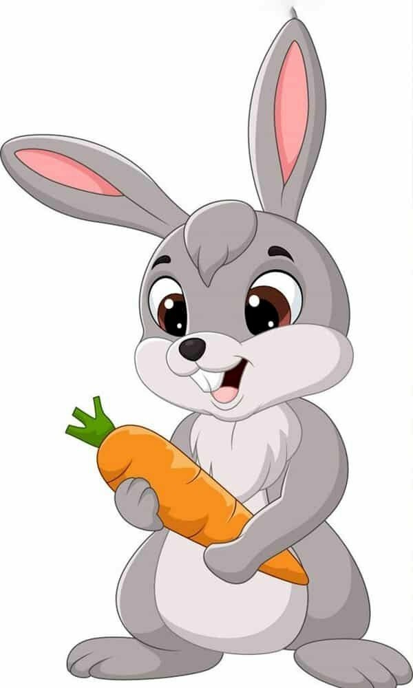 hình ảnh con thỏ anime 15