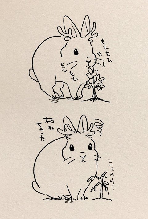 hình ảnh con thỏ anime 18