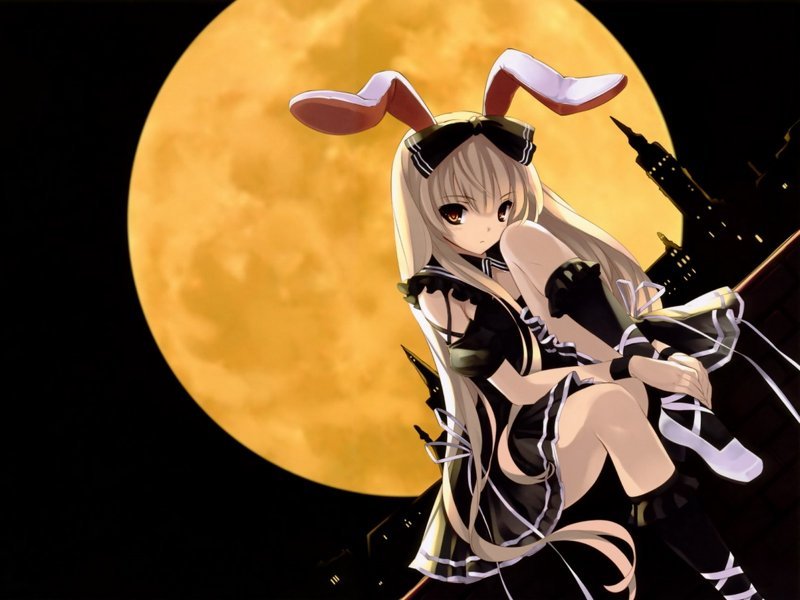 hình ảnh con thỏ anime 39