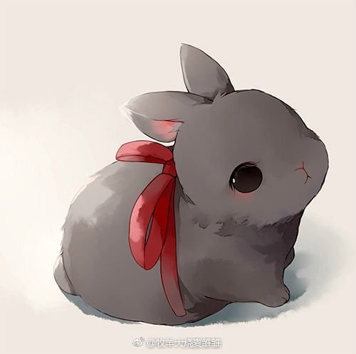 hình ảnh con thỏ anime 7