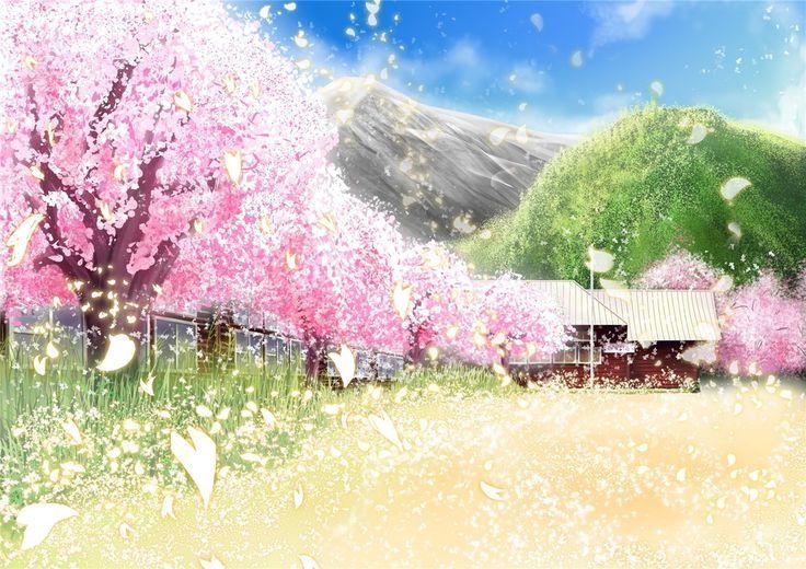 hình nền hoa anh đào anime (71)